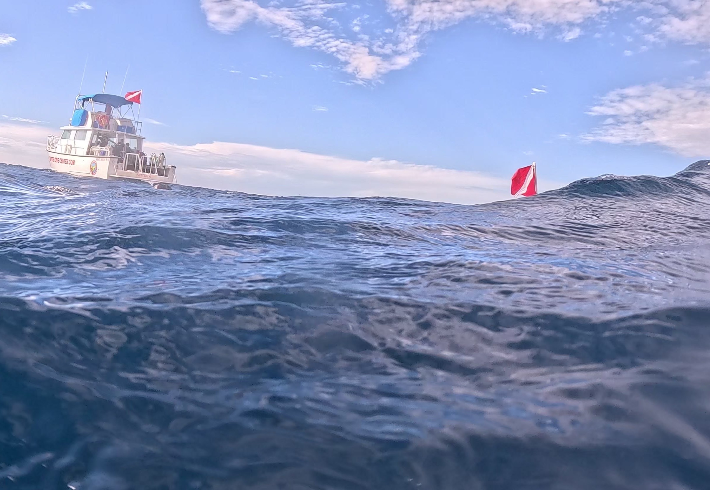 Beautiful underwater diving scene