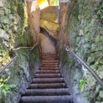 Stone staircase descending into Devil's Den, the underground prehistoric spring near Williston, Florida.